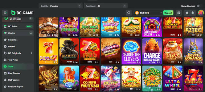 Exploring the BC.Game Mirror Mobile App Your Gateway to Online Gaming 960741630